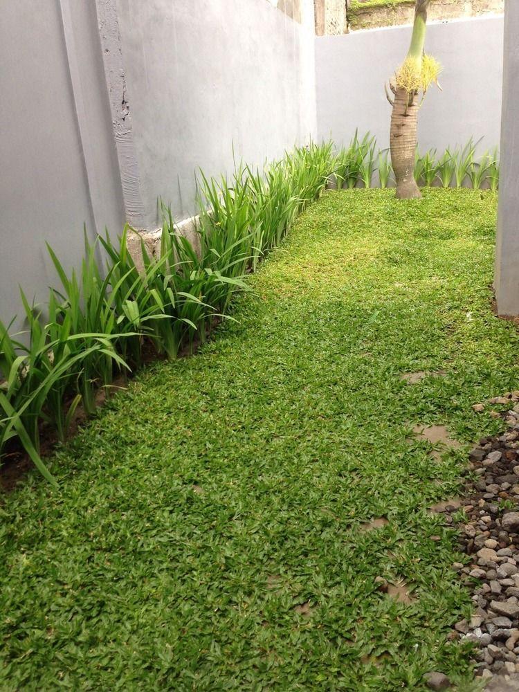 Safa Homestay Yogyakarta Exterior foto